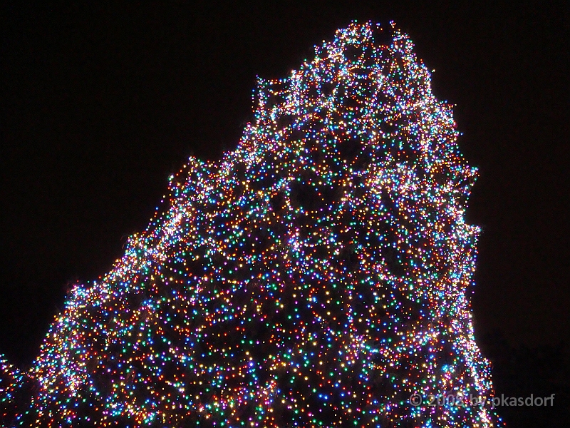 073 Toledo Zoo Light Show [2008 Dec 27].JPG - Scenes from the Toledo Zoo Light Show.